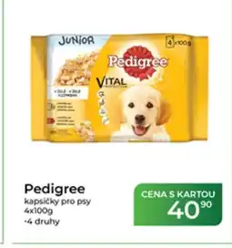 Tamda Foods Pedigree kapsičky pro psy nabídka