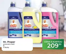 Tamda Foods Mr. Proper univerzální čistič nabídka