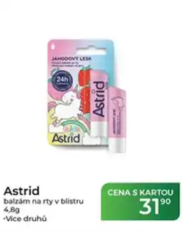 Tamda Foods Astrid balzám na rty v blistru nabídka