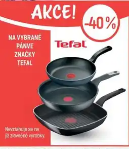 Globus Na vybrané pánve značky Tefal nabídka