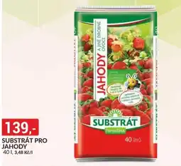 Baumax Substrát pro jahody nabídka