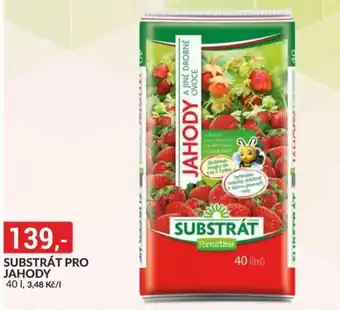 Substrát pro jahody