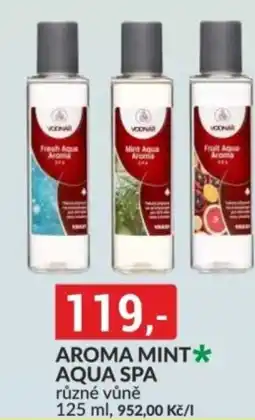 Baumax Aroma mint aqua spa nabídka