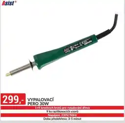 Baumax Vypalovací PERO 30W nabídka