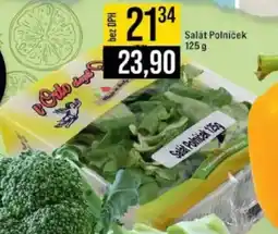 Jip Salát Polniček nabídka