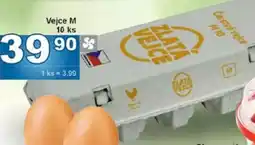 Jip Vejce M nabídka
