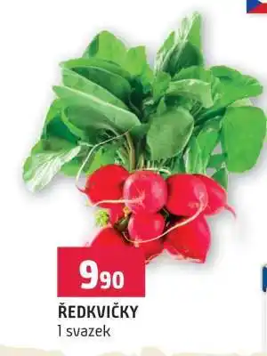 Terno Ředkvičky nabídka