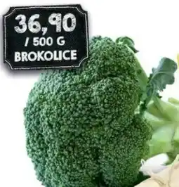 Jip Brokolice nabídka
