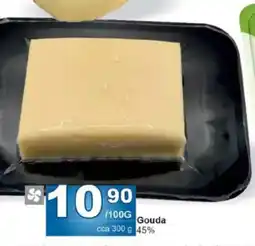 Jip Gouda nabídka