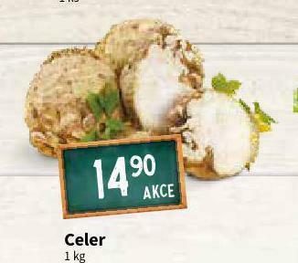 Terno Celer nabídka