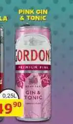 BENE Nápoje GORDON GIN & TONIC 0,25L míchaný nápoj v plechu nabídka