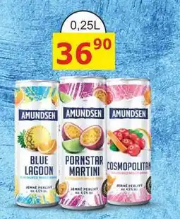 BENE Nápoje AMUNDSEN 0,25l míchané nápoje v plech nabídka