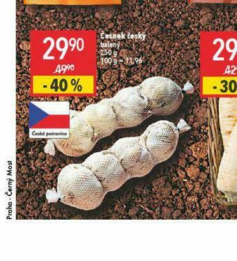 Globus Česnek český nabídka