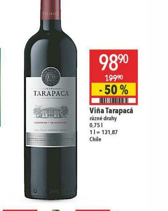Globus Vina tarapacá nabídka