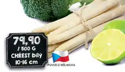 Jip Chřest bílý nabídka