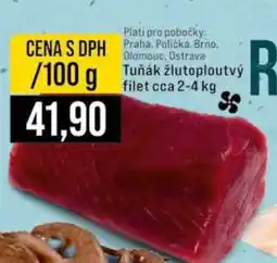 Jip Tuňák žlutoploutvý filet cca 2-4 kg nabídka