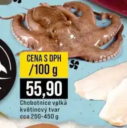 Jip Chobotnice velká květinový tvar nabídka