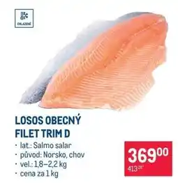 Makro Losos obecný filet trim D nabídka