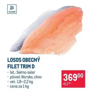 Losos obecný filet trim D