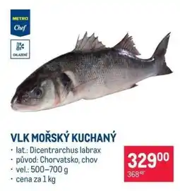 Makro Vlk mořský kuchaný nabídka