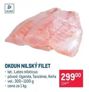 Okoun nilský filet