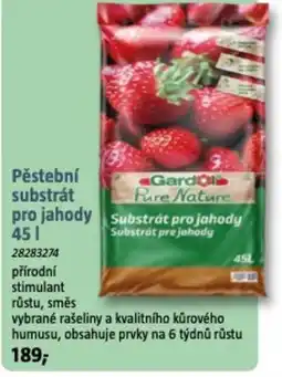 Bauhaus Pěstební substrát pro jahody nabídka