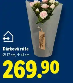 Lidl Dárková růže nabídka
