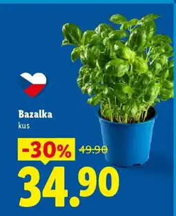 Lidl Bazalka nabídka