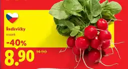 Lidl Ředkvičky svazek nabídka