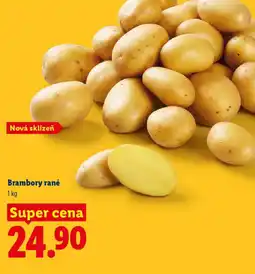 Lidl Brambory rané nabídka