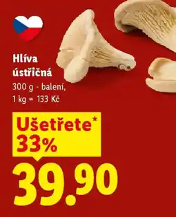 Lidl Hlíva ústřičná nabídka