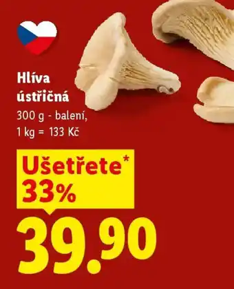 Lidl Hlíva ústřičná nabídka