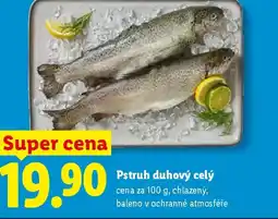 Lidl Pstruh duhový celý nabídka