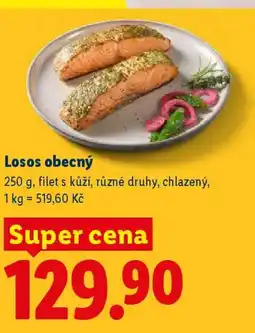 Lidl Losos obecný nabídka