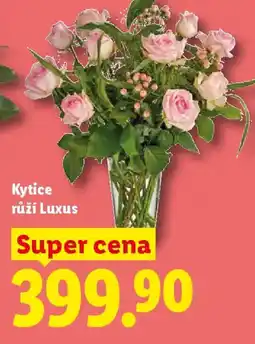 Lidl Kytice růží Luxus nabídka