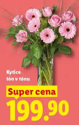 Lidl Kytice tón v tónu nabídka