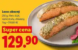 Lidl Losos obecný nabídka
