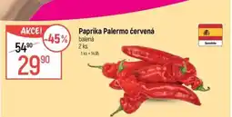Globus Paprika Palermo červená nabídka