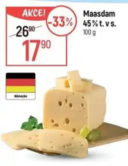Globus Maasdam 45% t. v s. nabídka
