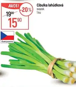 Globus Cibulka lahůdková svazek nabídka