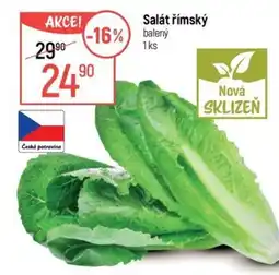 Globus Salát římský balený nabídka