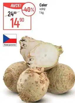 Globus Celer volný nabídka