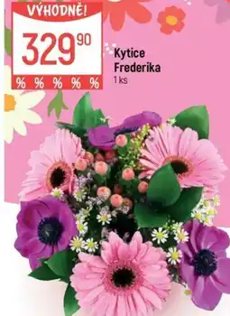 Globus Kytice Frederika nabídka