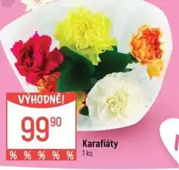 Globus Karafiáty nabídka