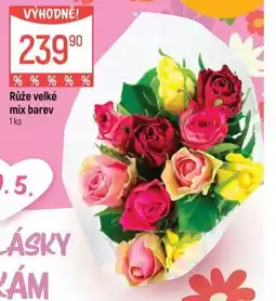 Globus Růže velké mix barev nabídka