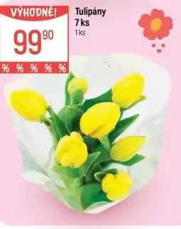 Globus Tulipány 7 ks nabídka