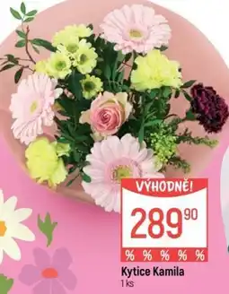 Globus Kytice Kamila nabídka