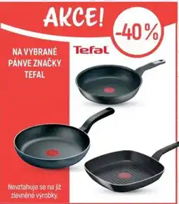 Globus NA VYBRANÉ PÁNVE ZNAČKY TEFAL nabídka