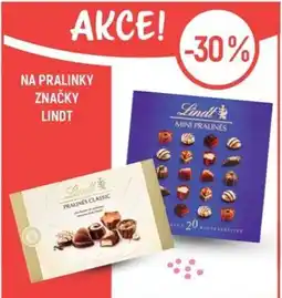 Globus NA PRALINKY ZNAČKY LINDT nabídka
