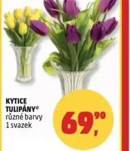 Penny Market Kytice tulipány nabídka
